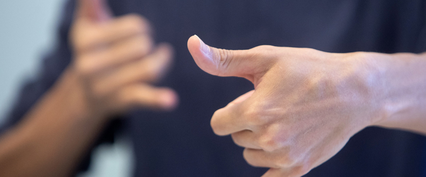 The Sign Language of the Chinese People