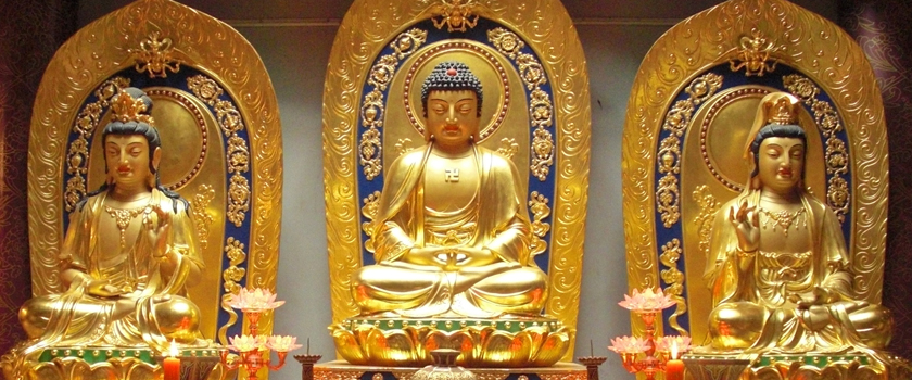 Tibetan Translation Service and Buddhism