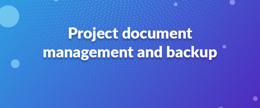 Project document management and backup