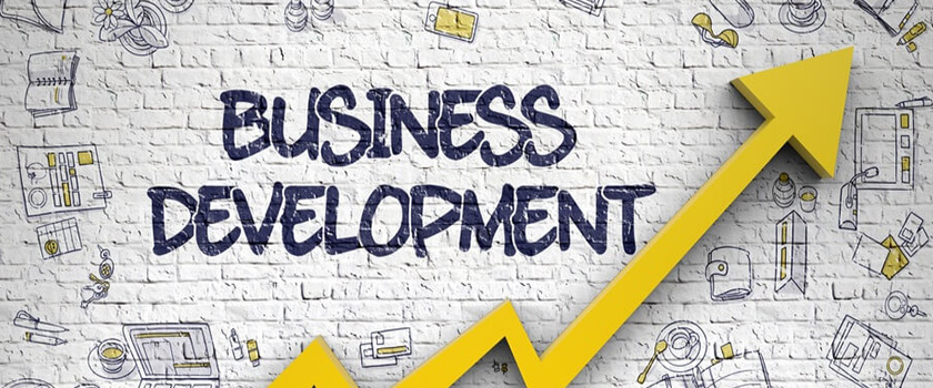 The Role of Business Development