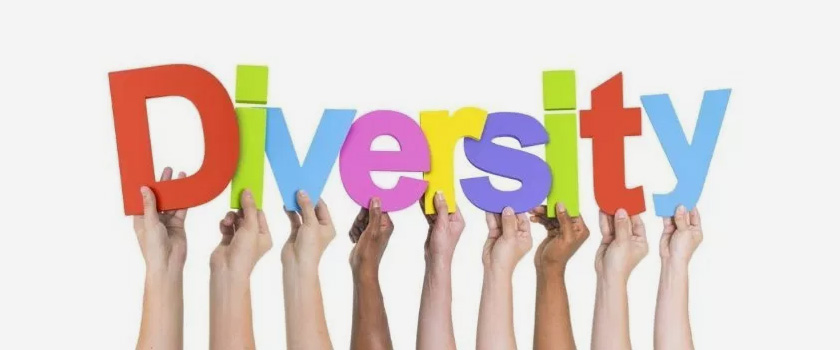 What are the most important principles in good diversity management?