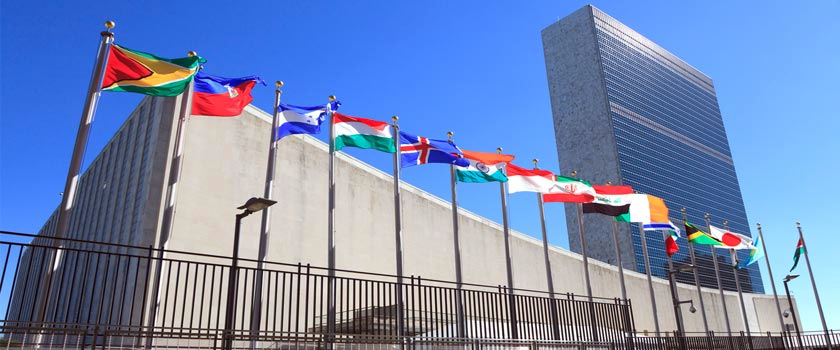 Exploring the Official Languages of the United Nations