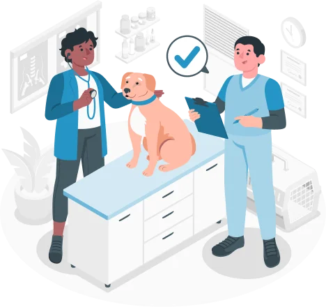 Ensure Compliance with Global Veterinary Regulations