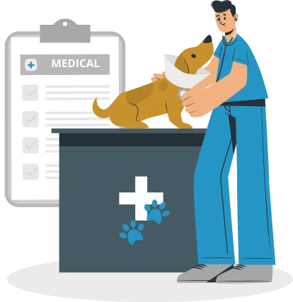 Tailored Solutions for All Veterinary Documents