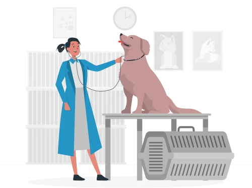 Tech Products Veterinary Translation