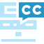 Video Captioning